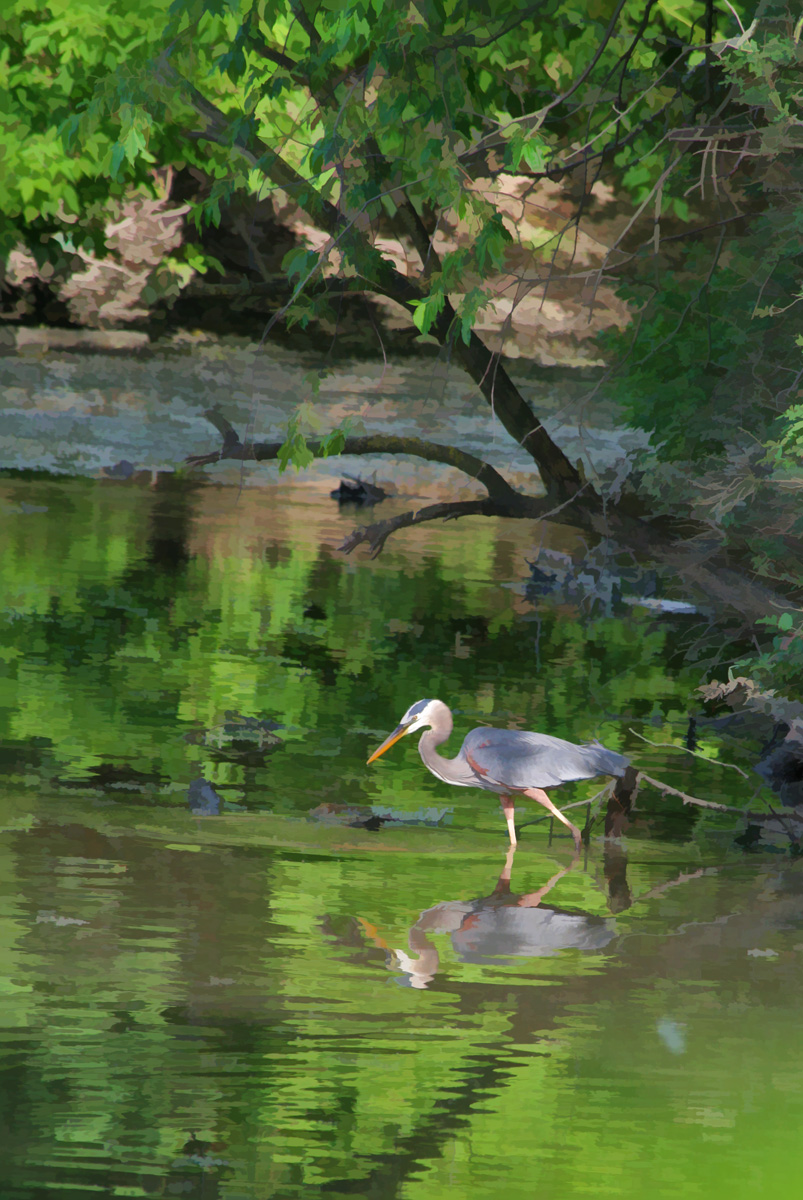 Nature Preserve