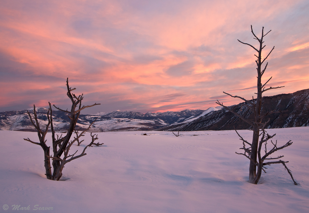 Dawn reflection