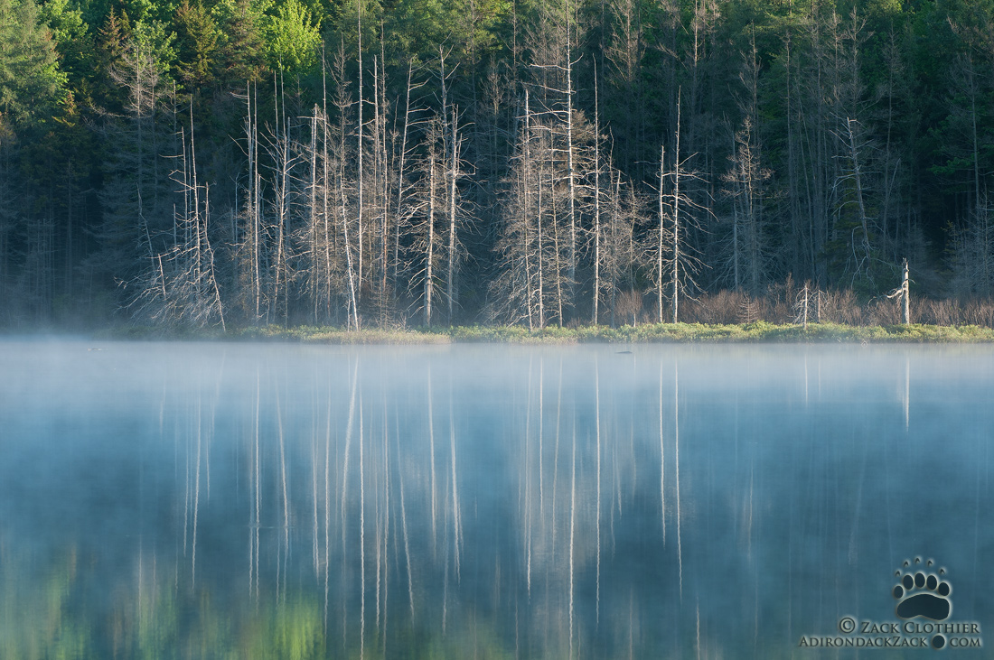 Ghost Ship