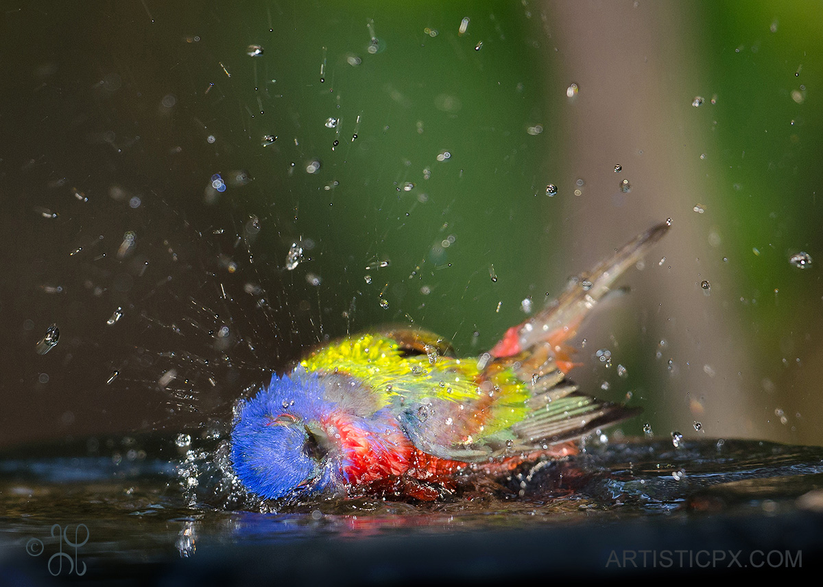 Refreshment
