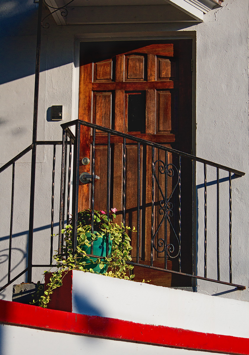 Door