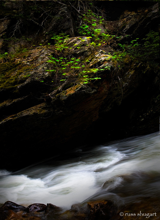 Streamside