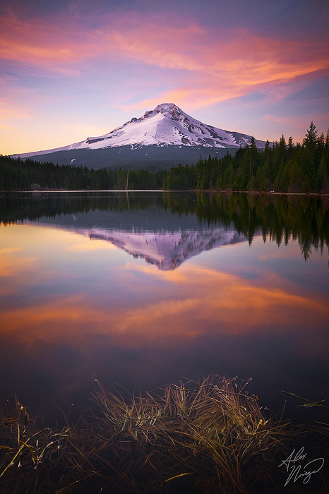 Trillium Fire