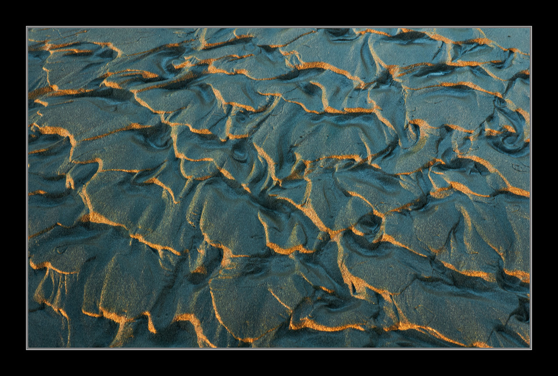 Sand Tiger