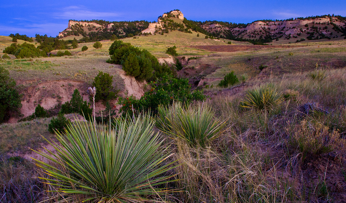 Cedar Canyon Dawn