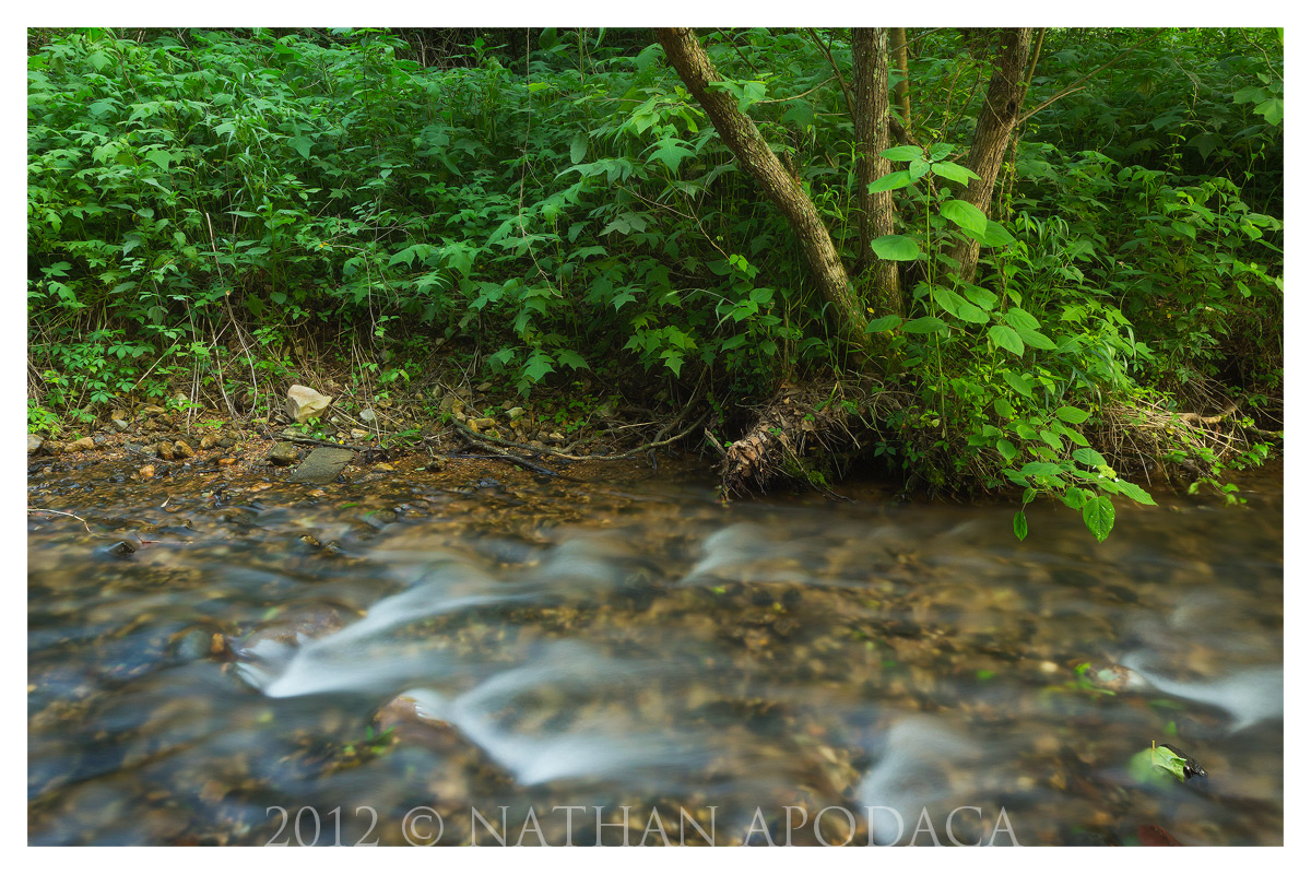 Hidden Stream