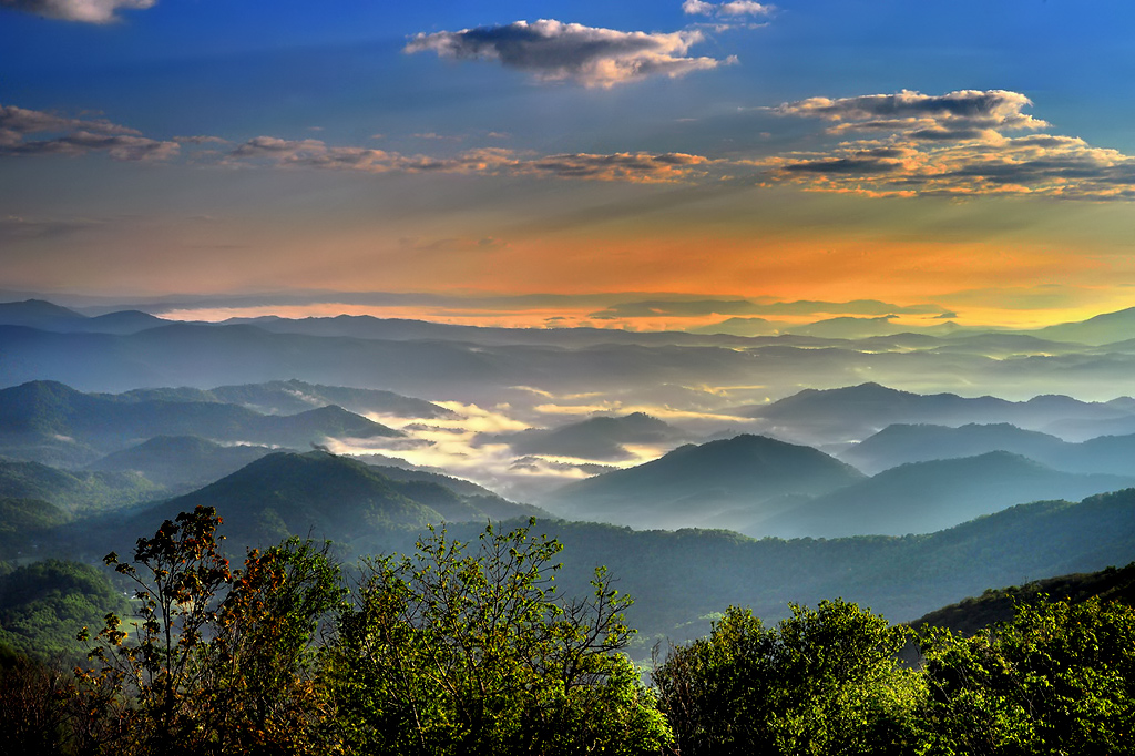 Morning Light