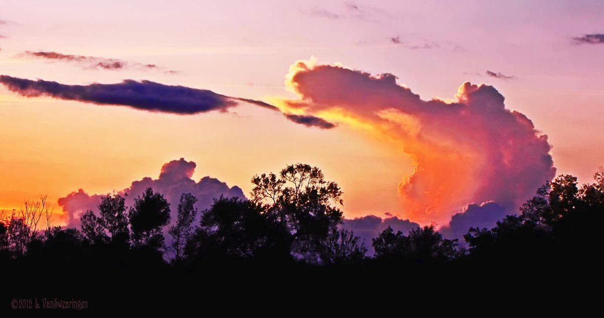 Sky Gator w/. re post w/o halos