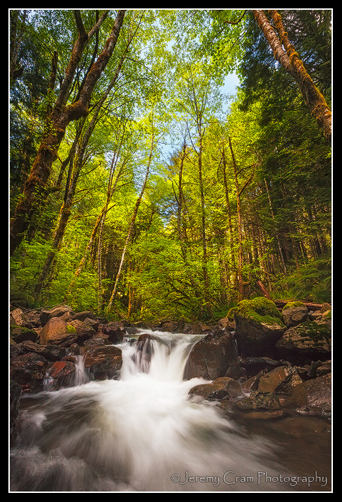 Simple Cascade...