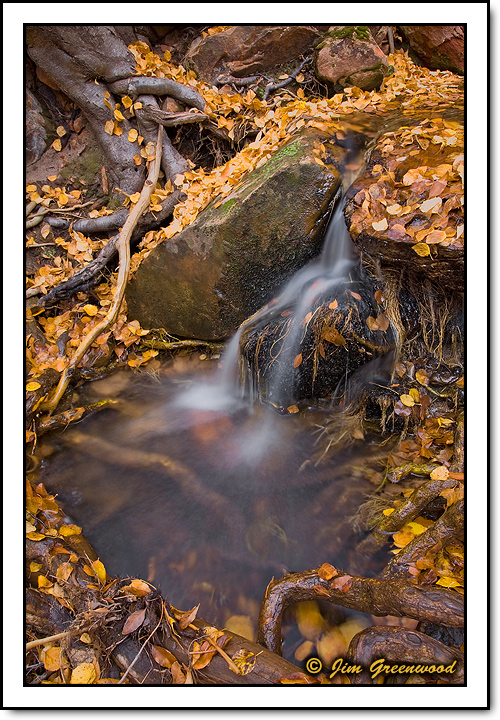 WC #538 - Time Flows On