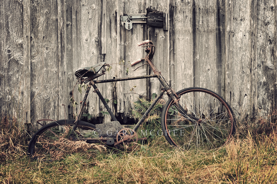 Velocipede