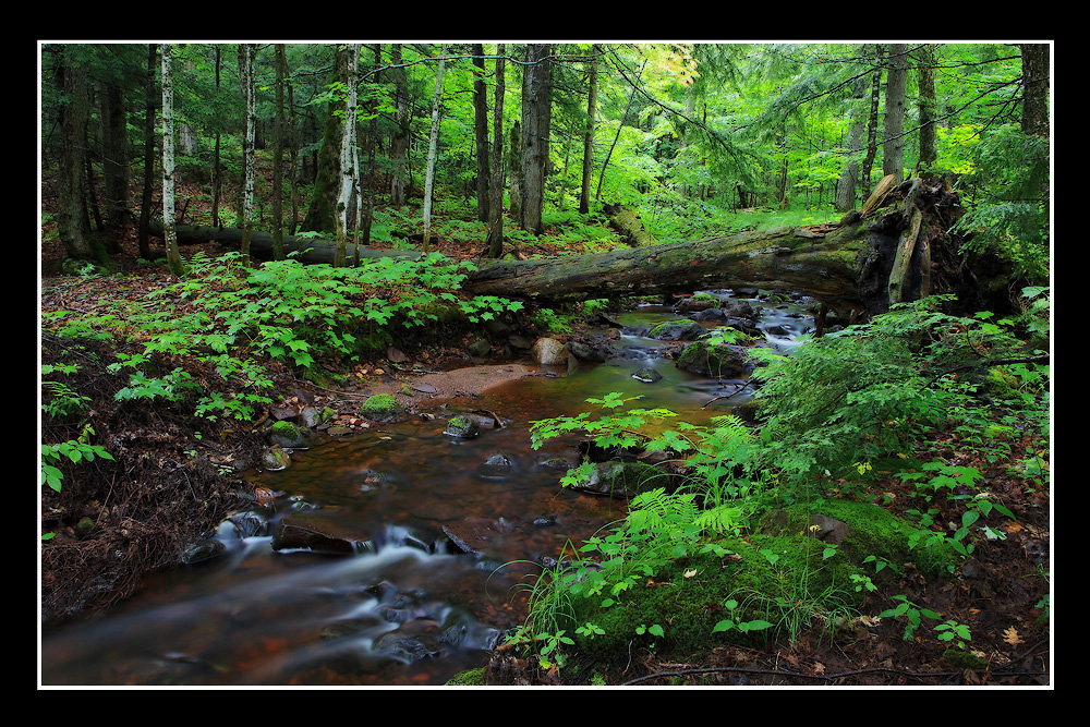 Small Creek + Repost