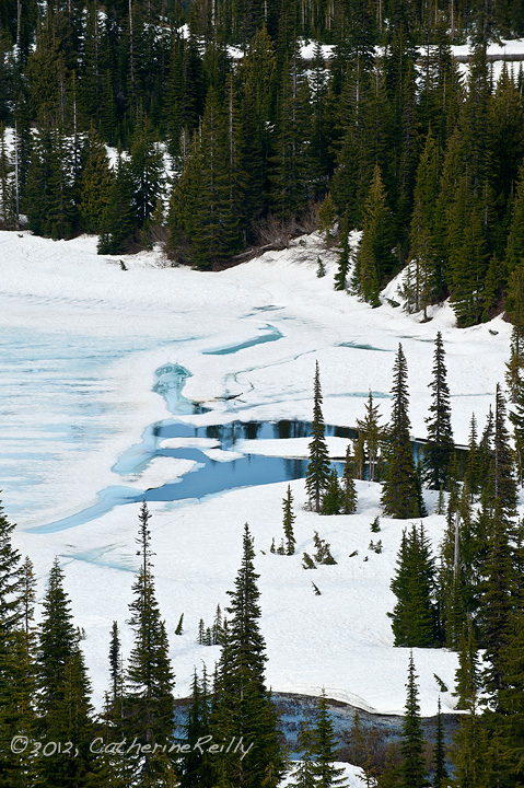 Louise Lake Thaw