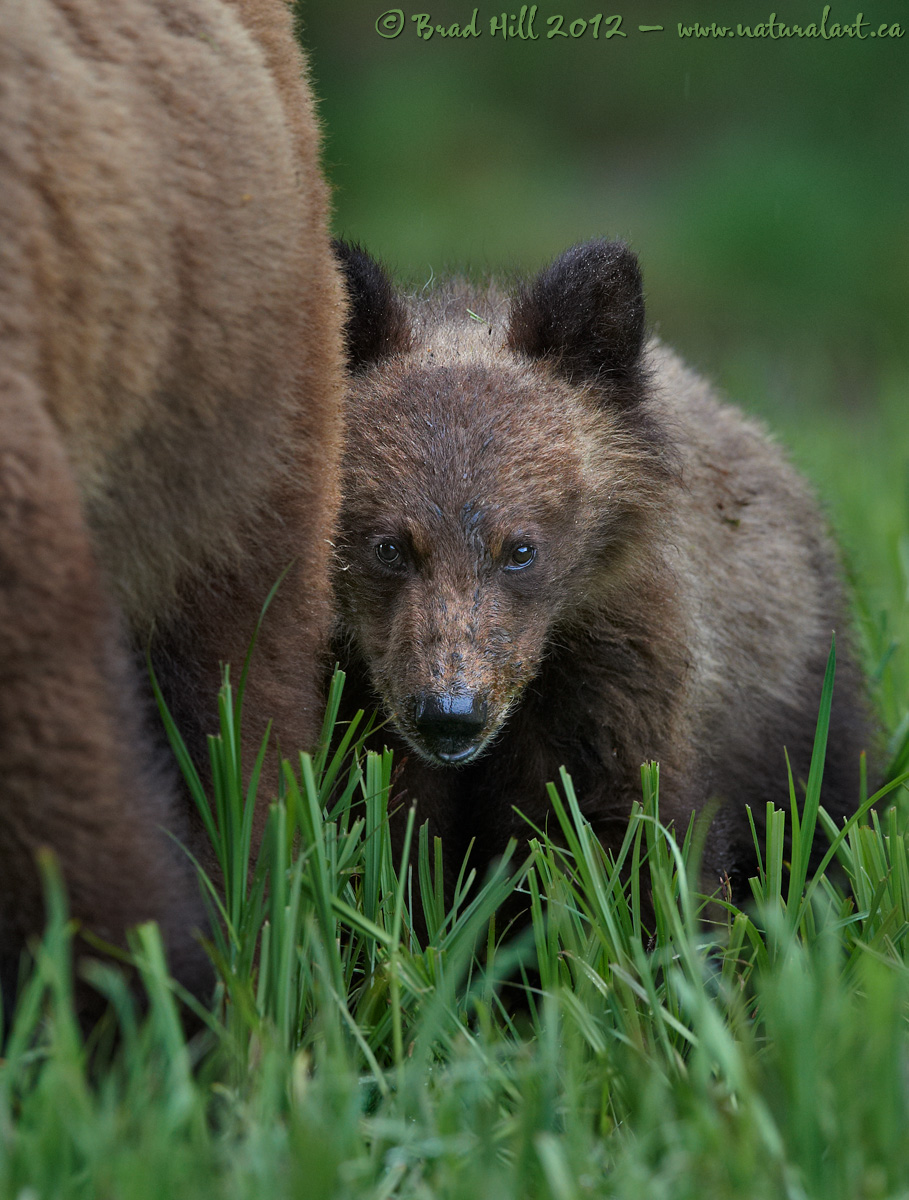 Cautious Curiosity...