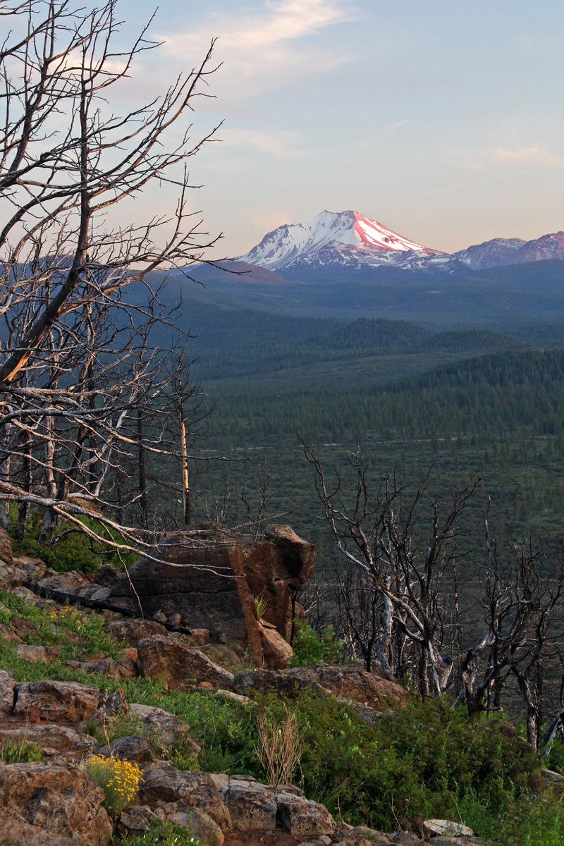 Lassen Hat Creek Recovery