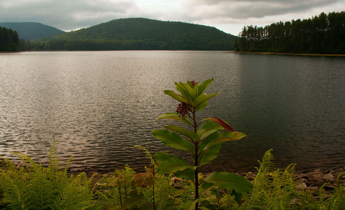 Secret Catskill Lake