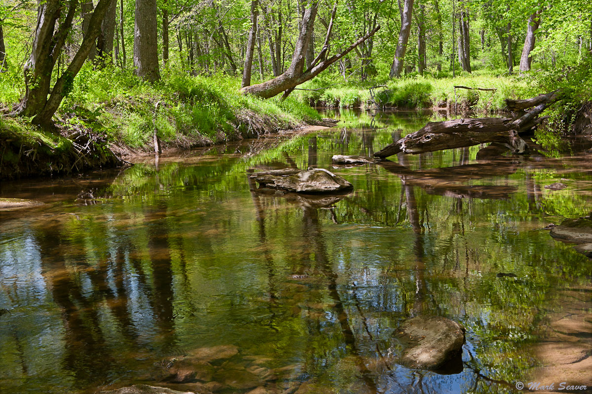 Rachel Carson Park