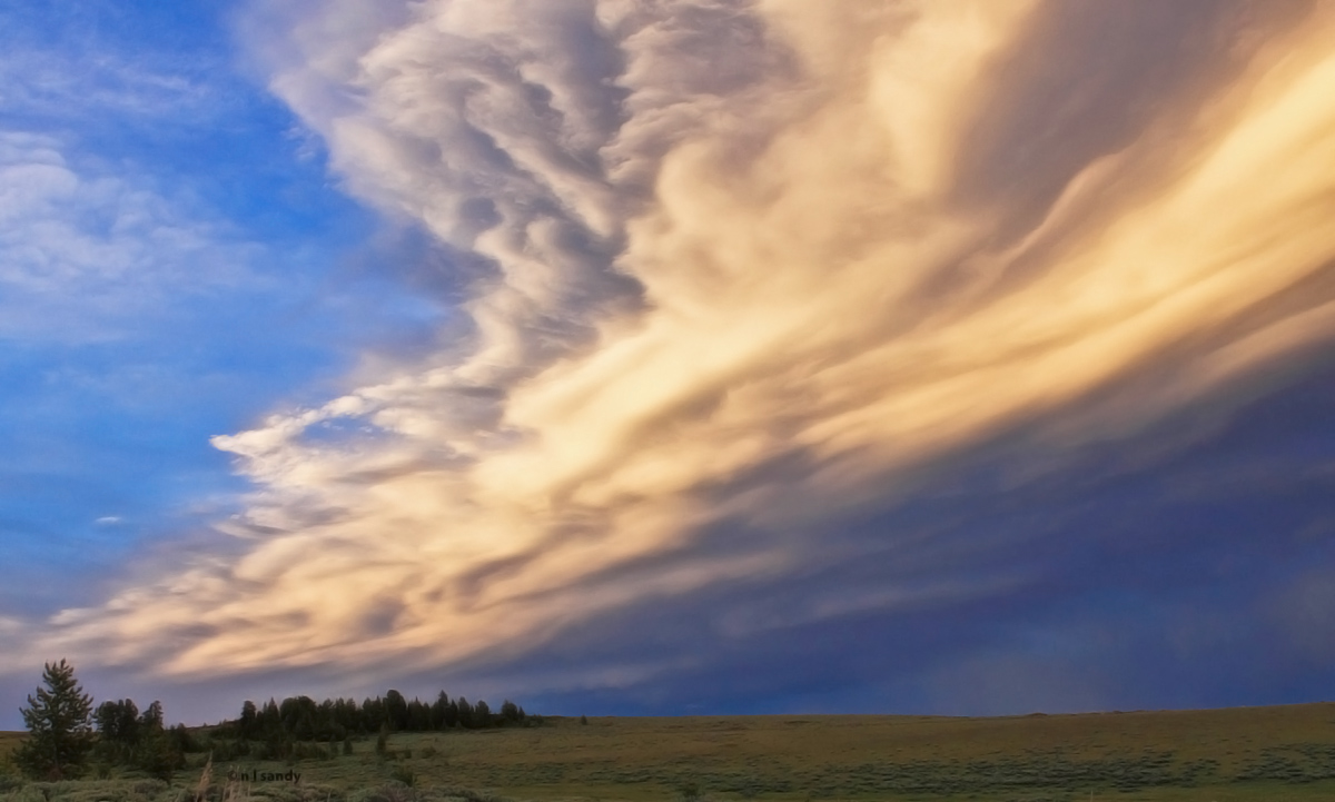 Cold Front