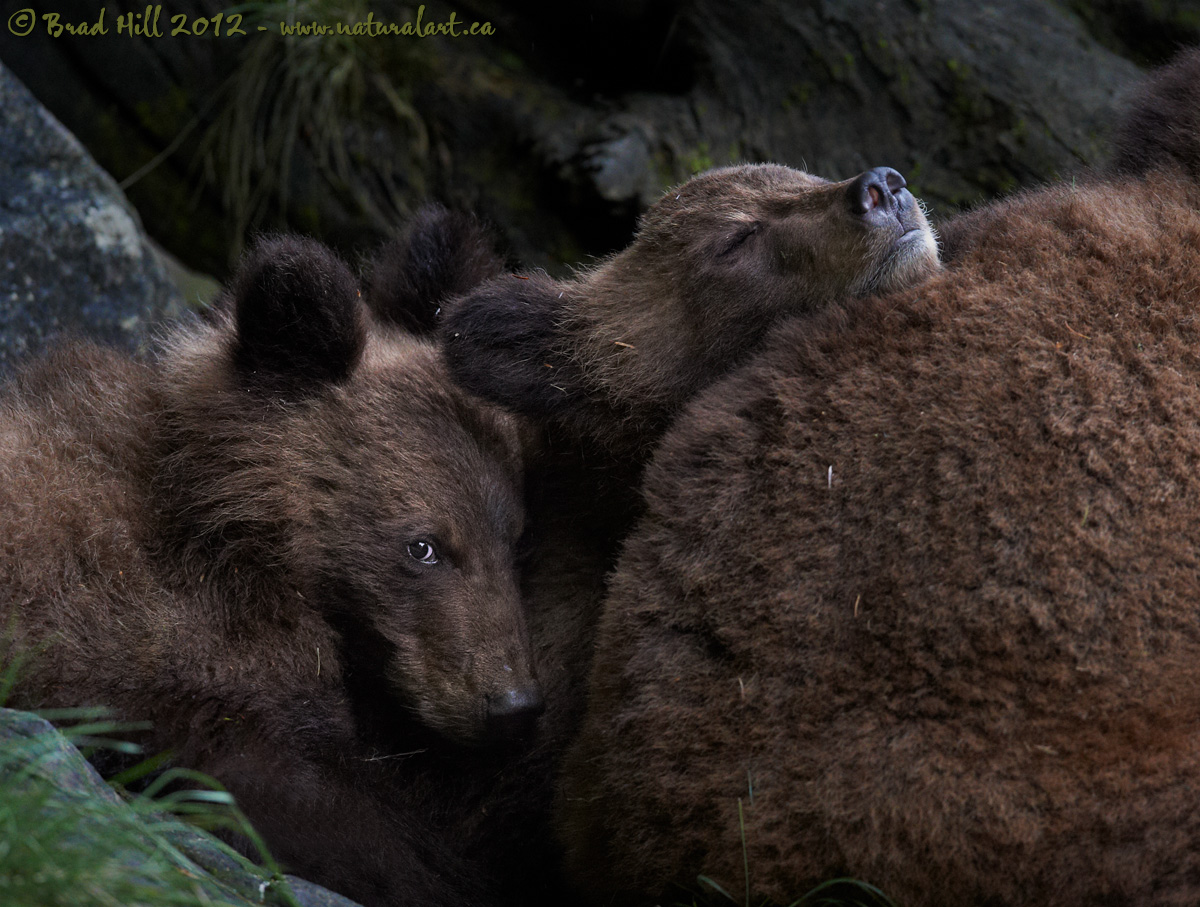 Cuddling...cautiously!