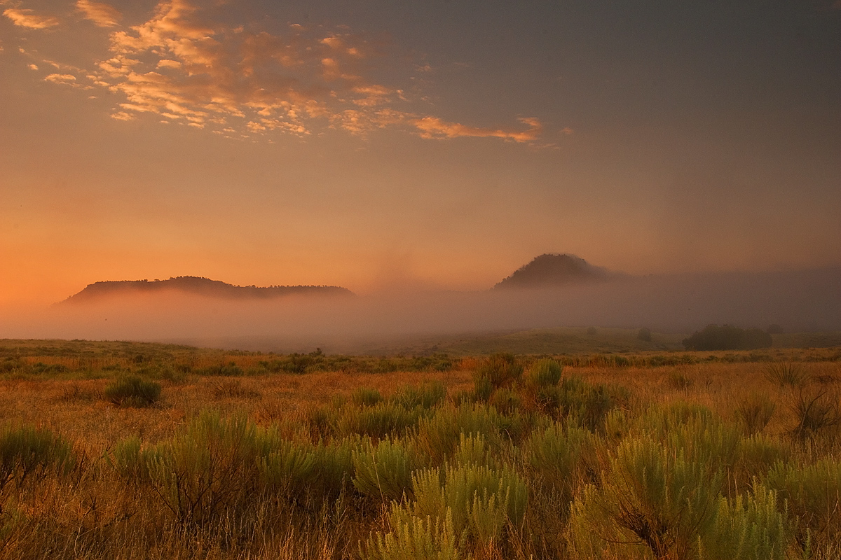 Fog on the Prairie 