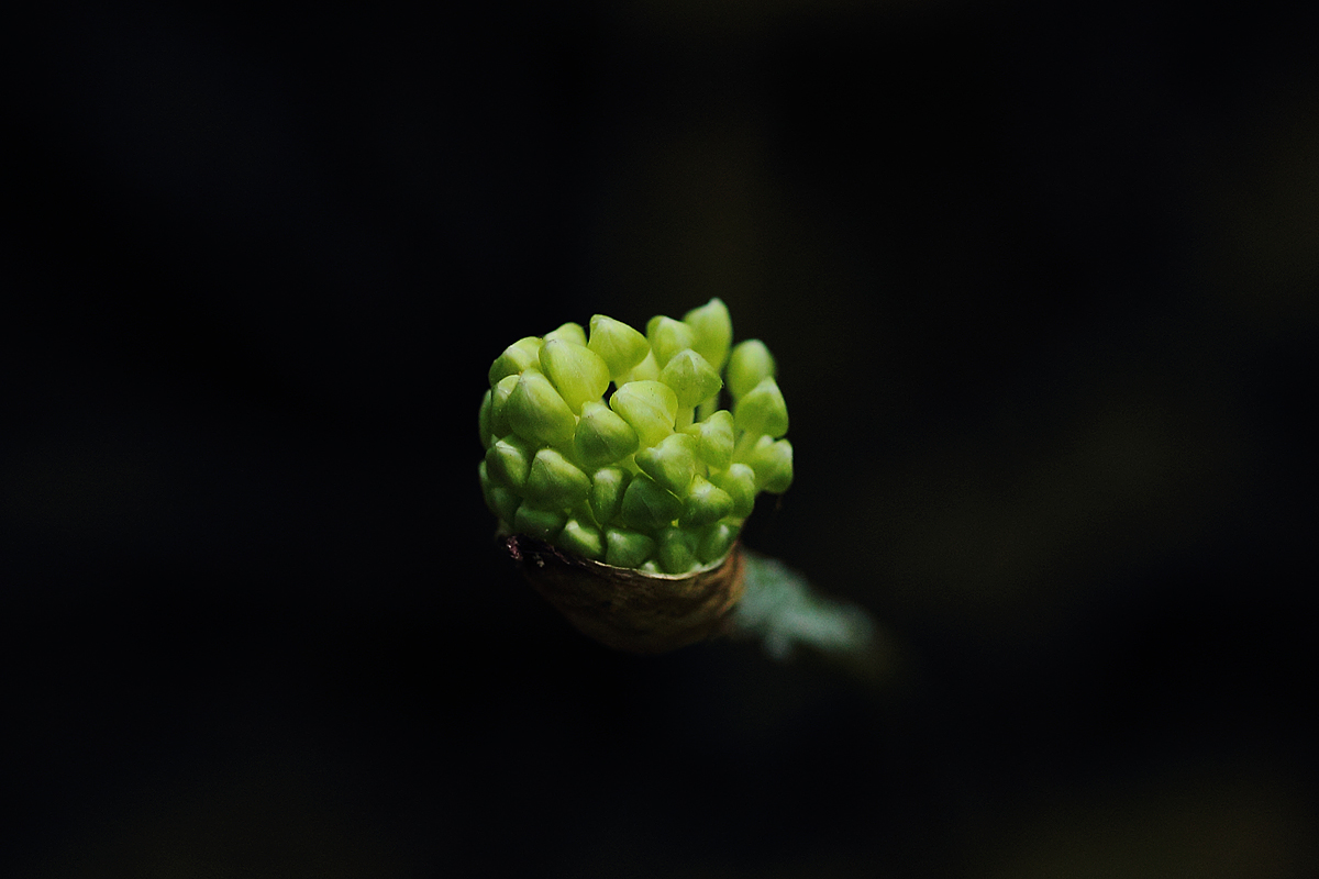 Ramp