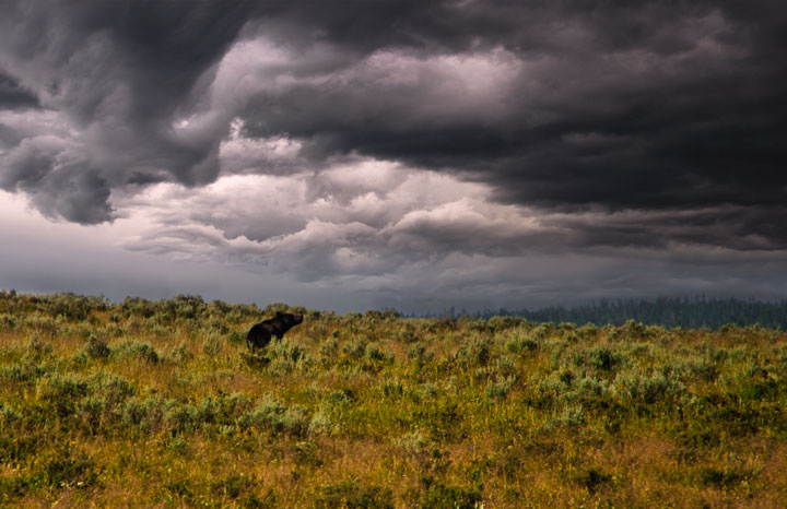 Storm Rolls In