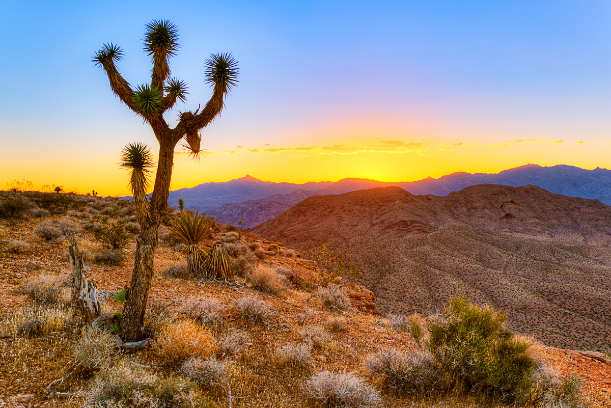 Arizona Sunset