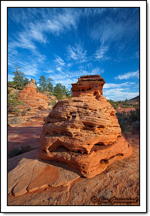 #541 - Zion RWB (2011)