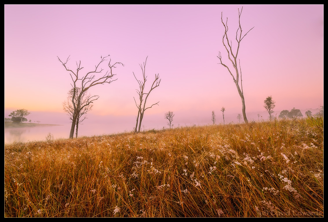 Soft Dawn