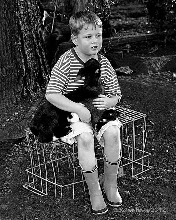 Little Goat Herder