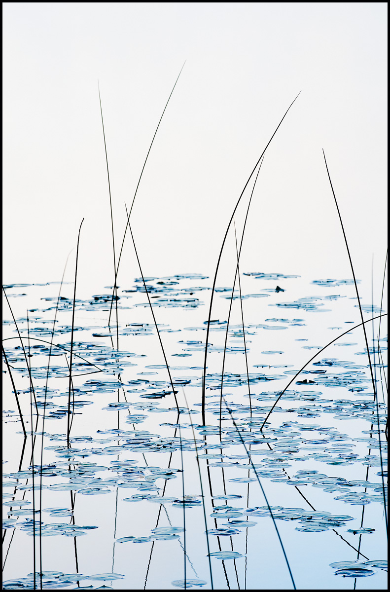 Dollar Lake