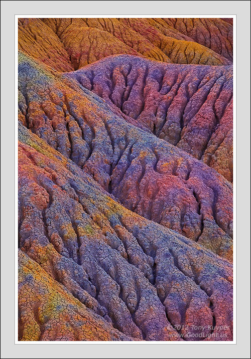 Hidden Hues + RAW file