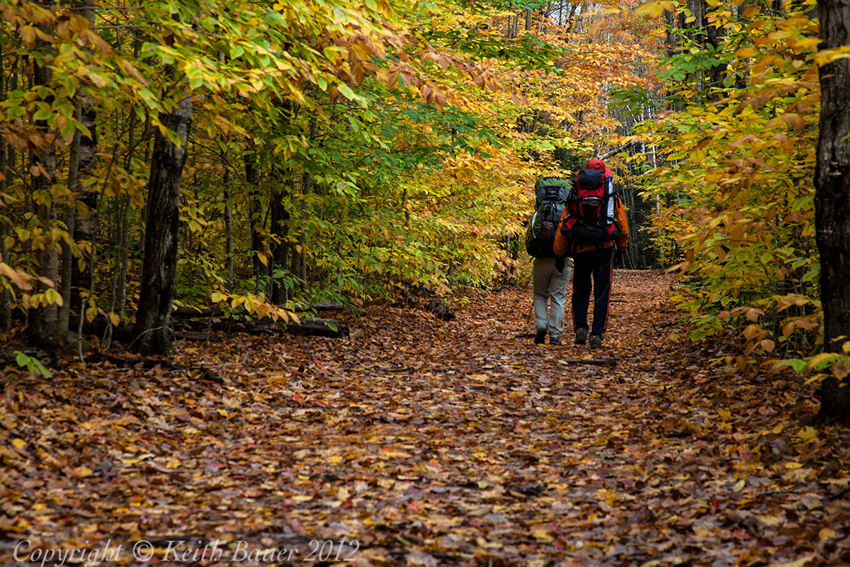 Hikers