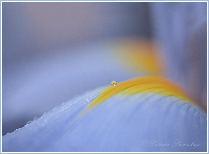 Droplet