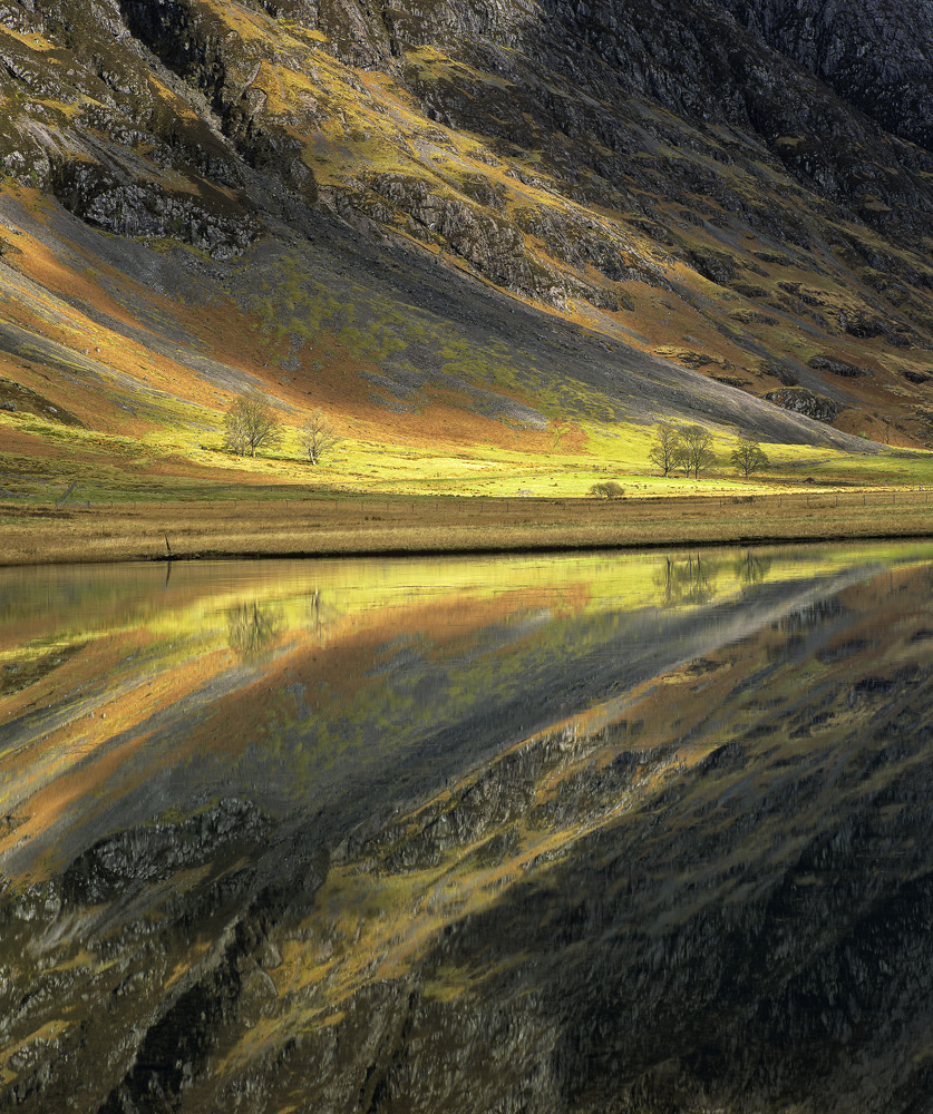 Landscape - 1st HM
