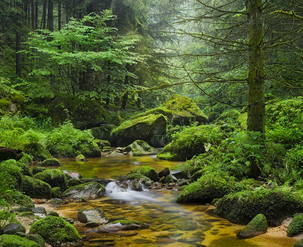 Hidden Gorge