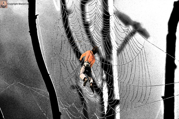 Life is Web