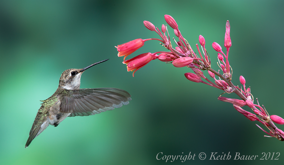 And Yet Another Hummer