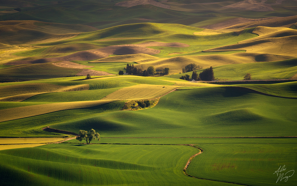 Light and Shadow