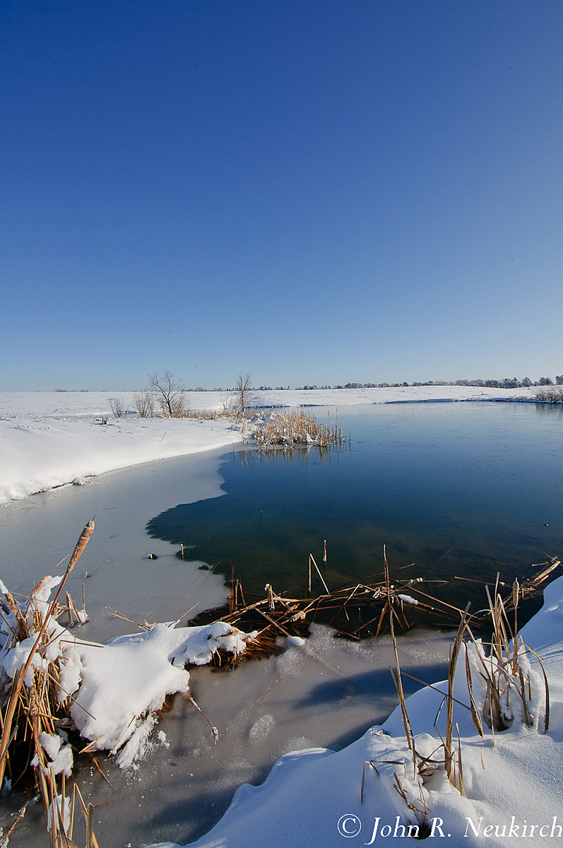 February Pond