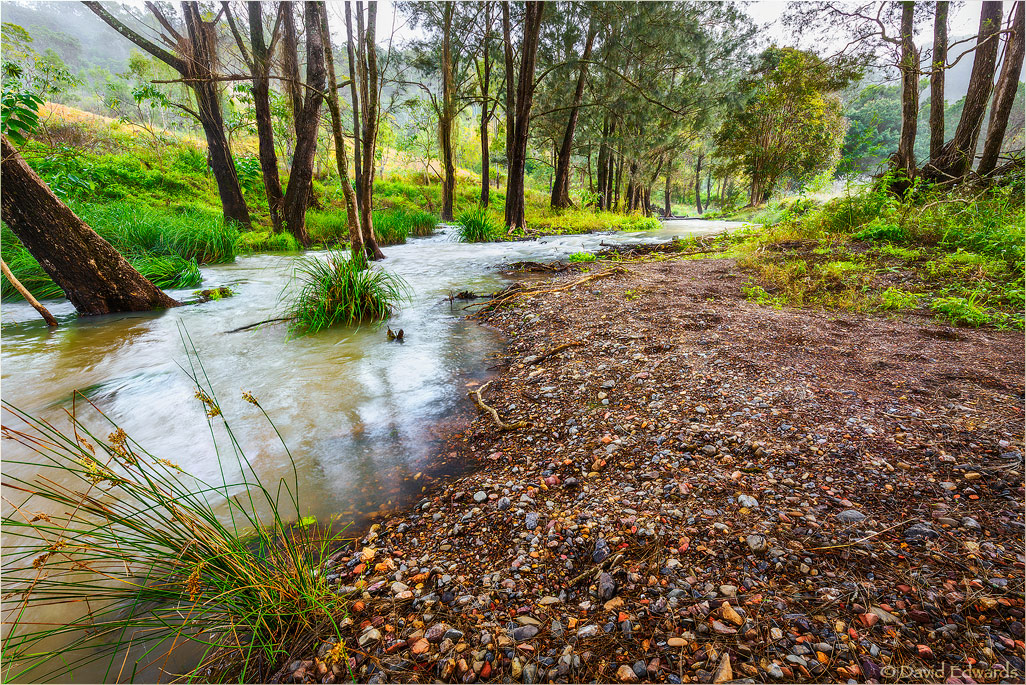 Northbrook Stream