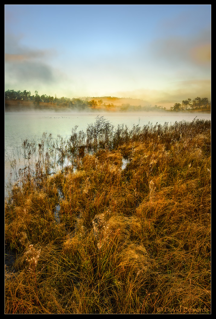 Lakeside Dawn