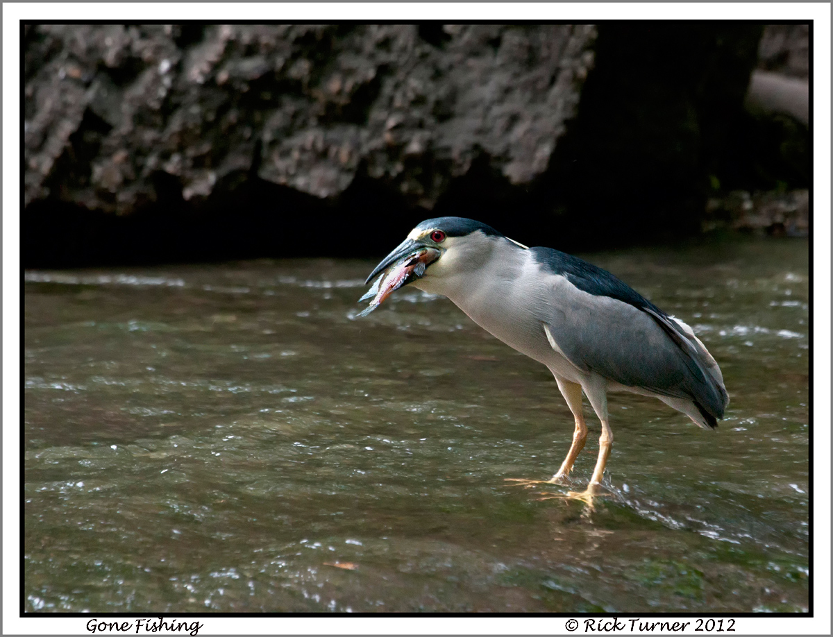 Gone Fishing