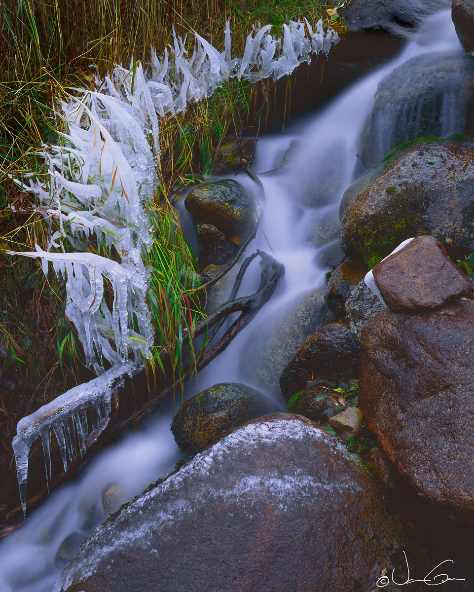 Autumn Ice