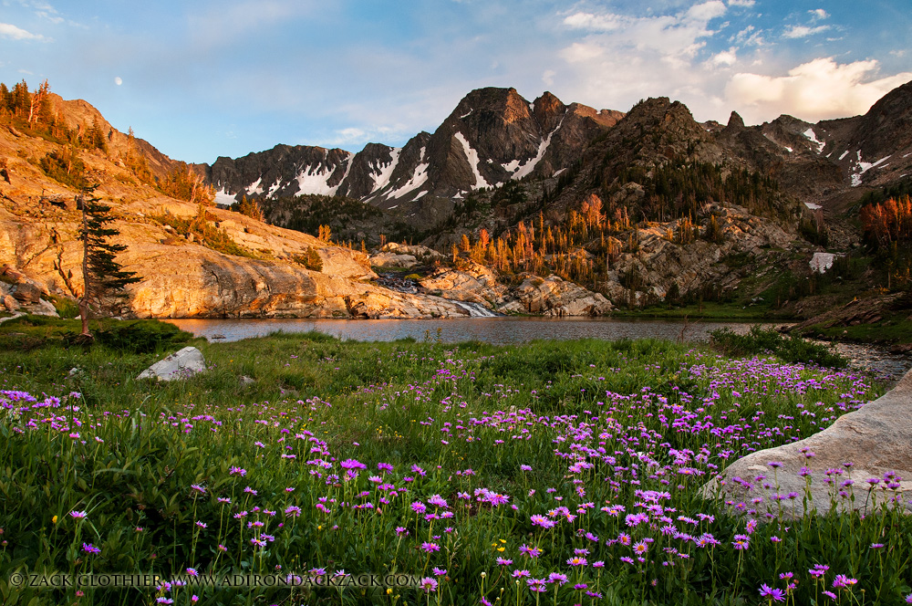 Mountain Jewels