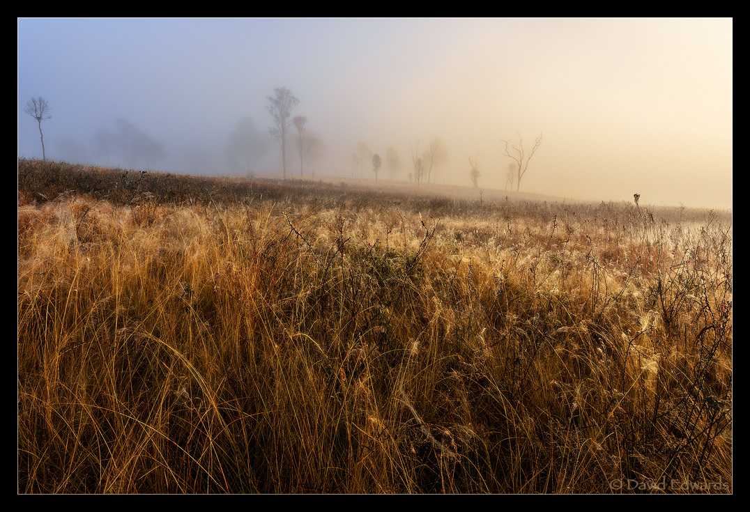 Transition
