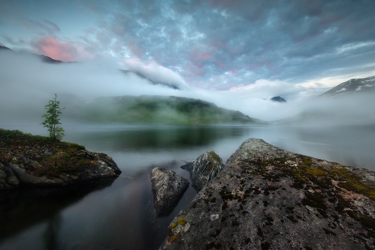 Fog Valley