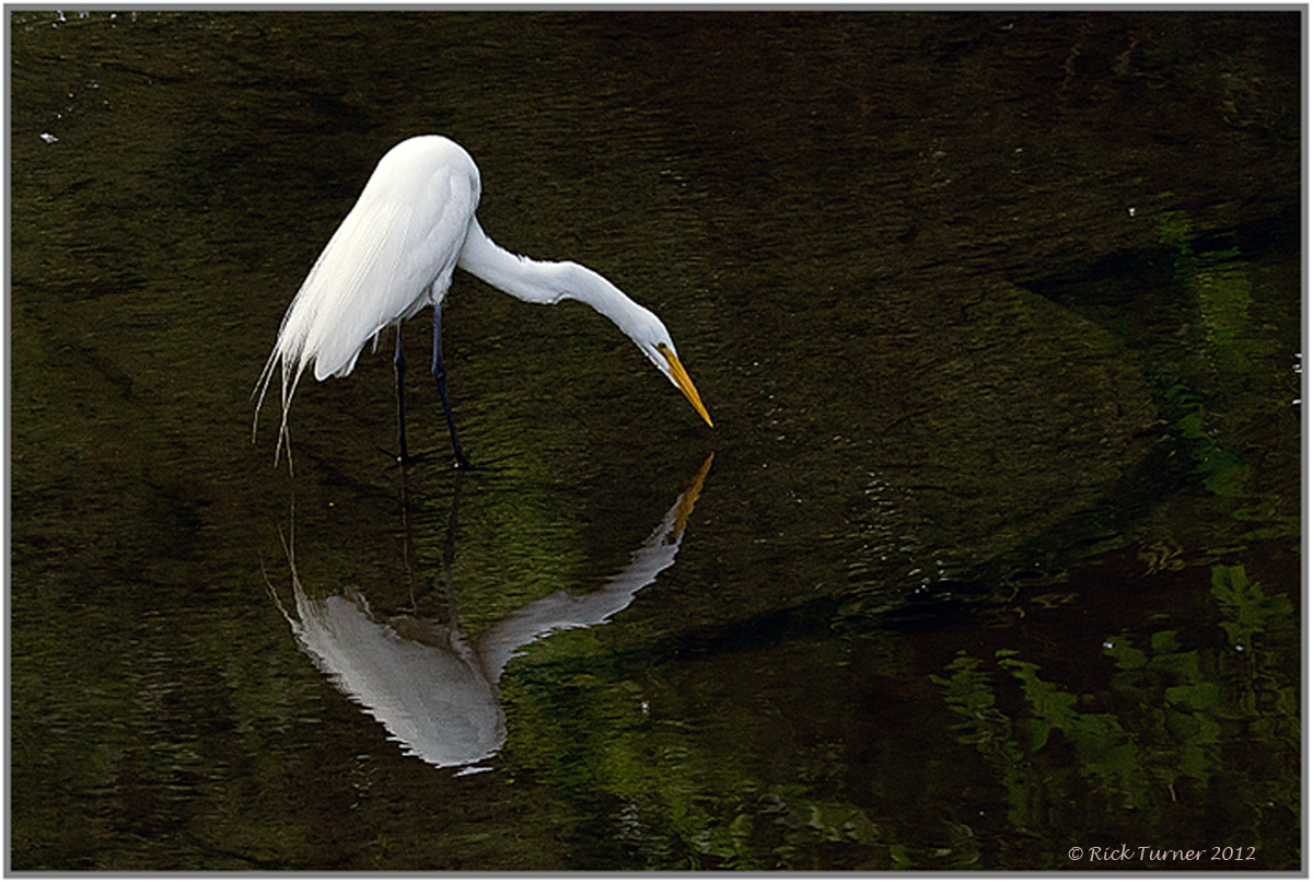 Alone on the Creek