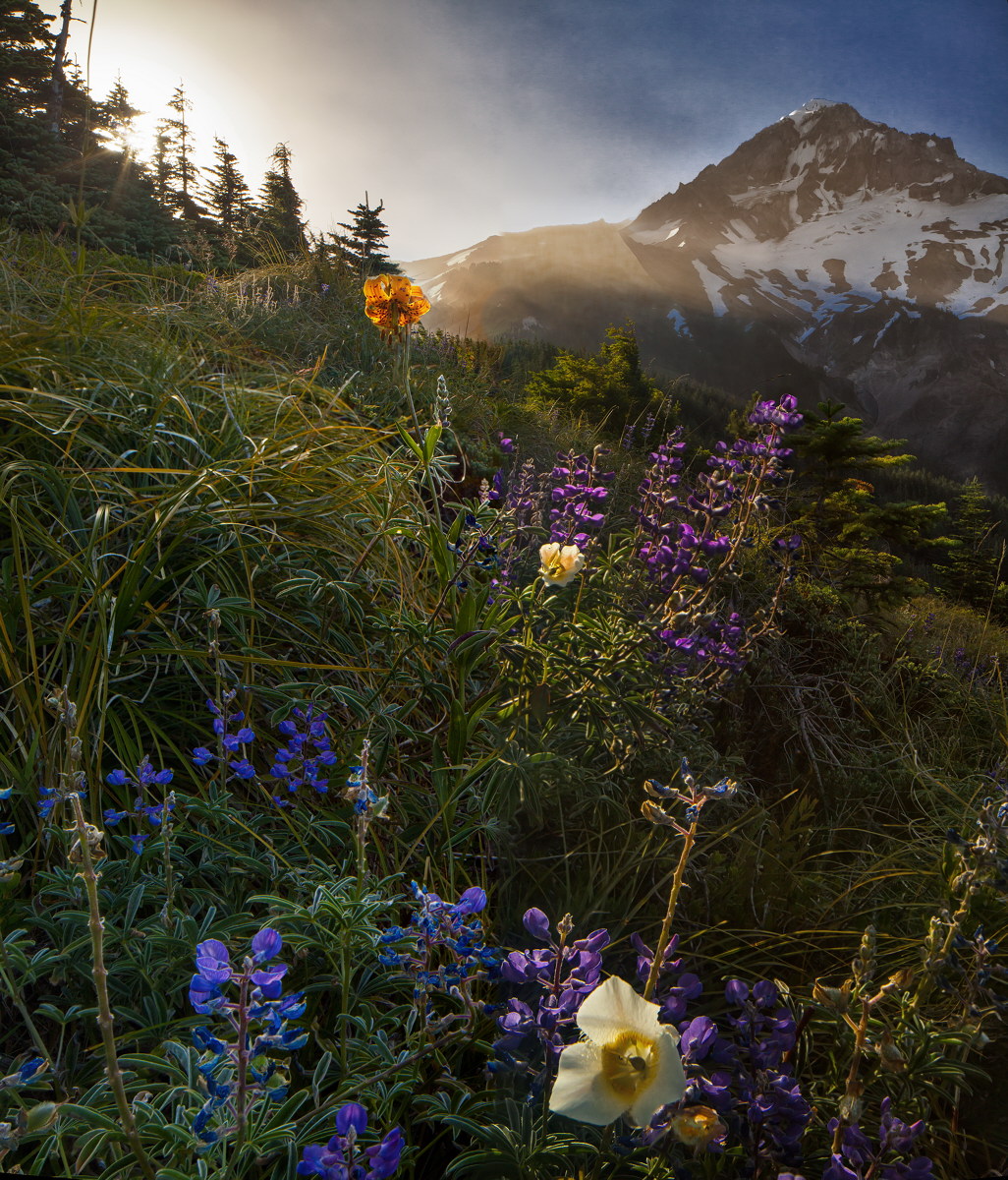 Mt Hood Sunrise