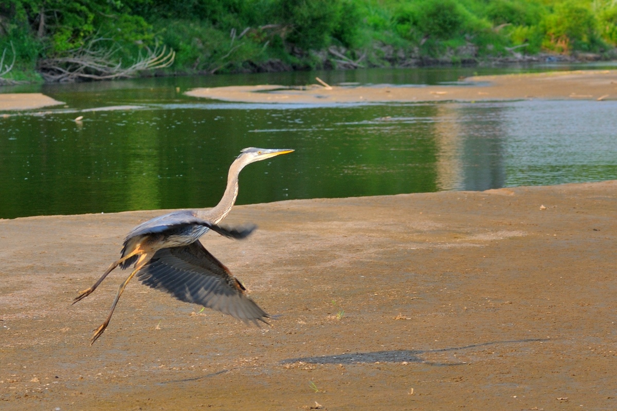 The Takeoff